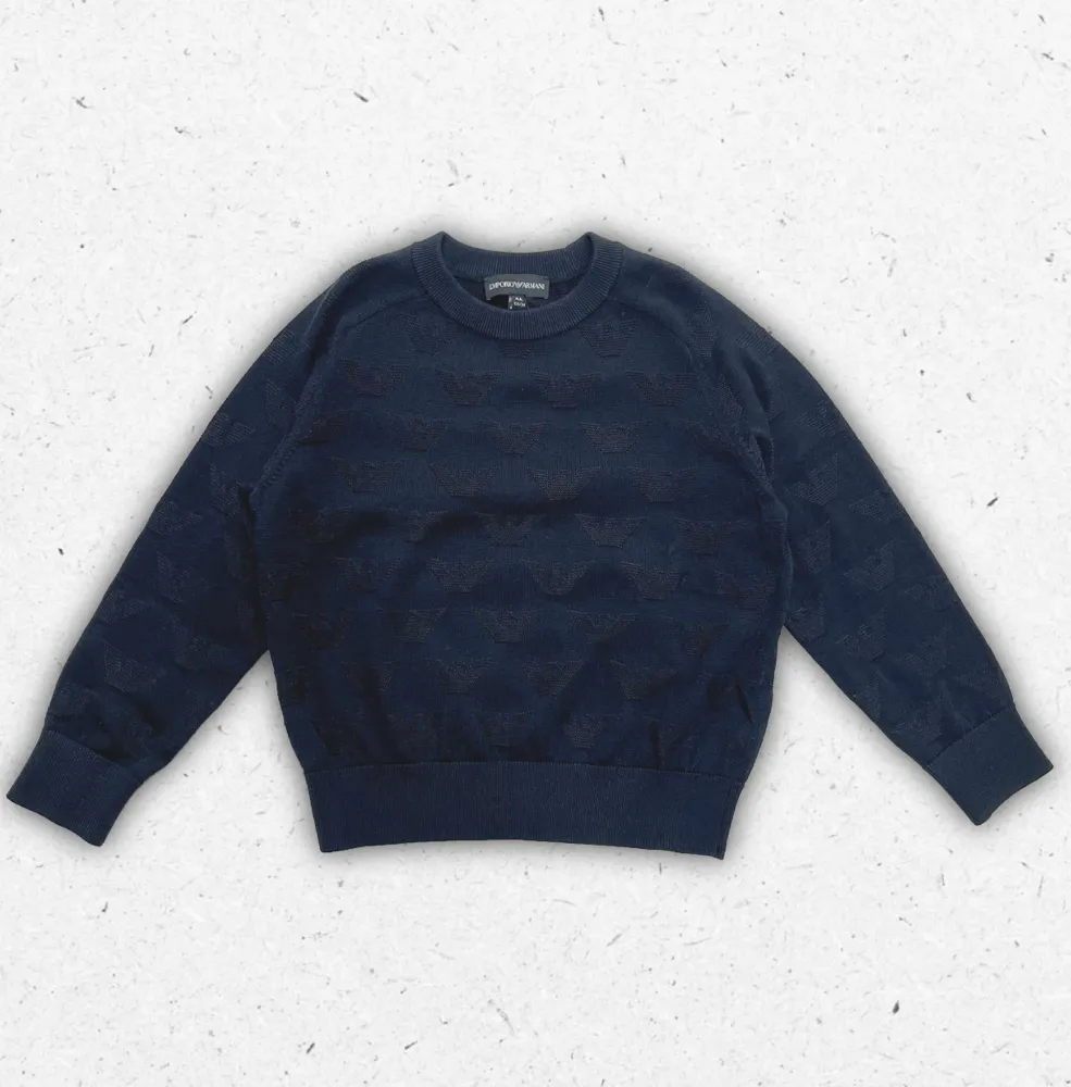 Maglione girocollo Emporio Armani da bambino in misto cotone con lavorazione jacquard aquila tono su tono.