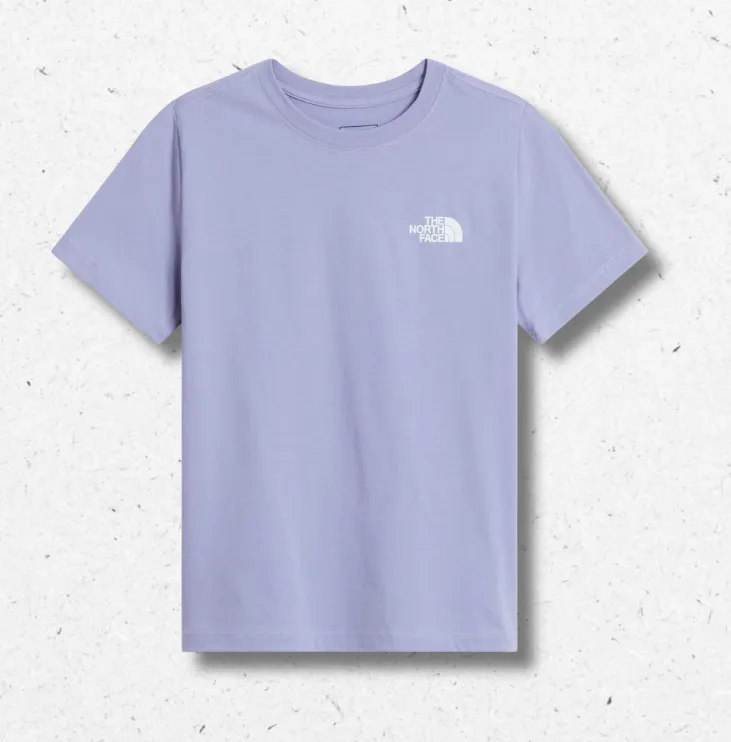 T-shirt Evolution Box NSE The North Face ragazzo logo squadrato
