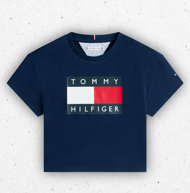 T-shirt Tommy Hilfiger Ragazza in Cotone Organico con Logo Flag Grigio e Blu